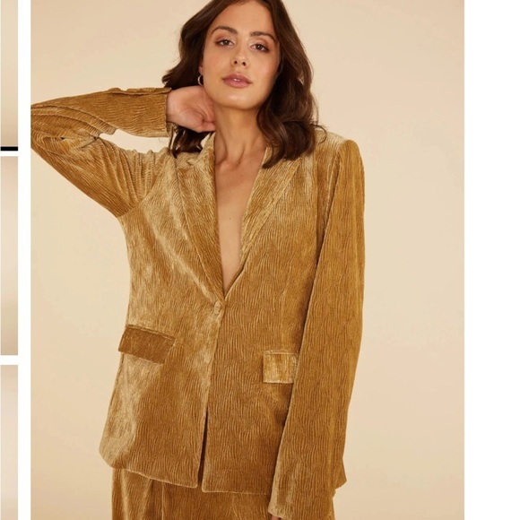 Mink Pink Arianna gold cut velvet one button, two pocket lined, blazer Med NWT - Picture 1 of 16